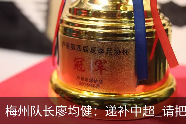梅州队长廖均健：递补中超 请把我们当成广东队